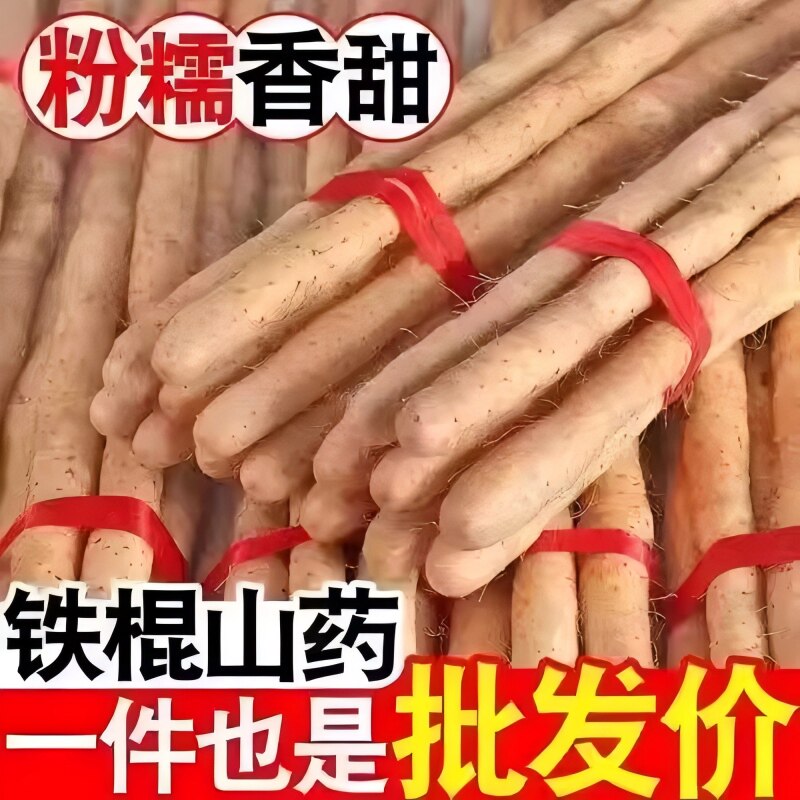 铁棍山药新鲜淮山药铁杆山药现挖山药非温县怀山药