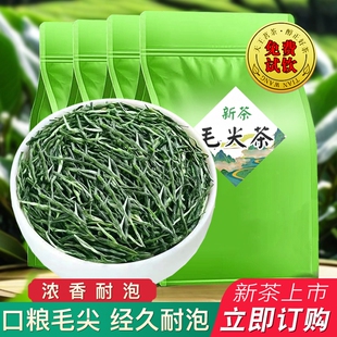 信阳春茶高山毛尖口粮新茶茶叶散装 明前嫩芽毛尖浓香绿茶炒青袋装