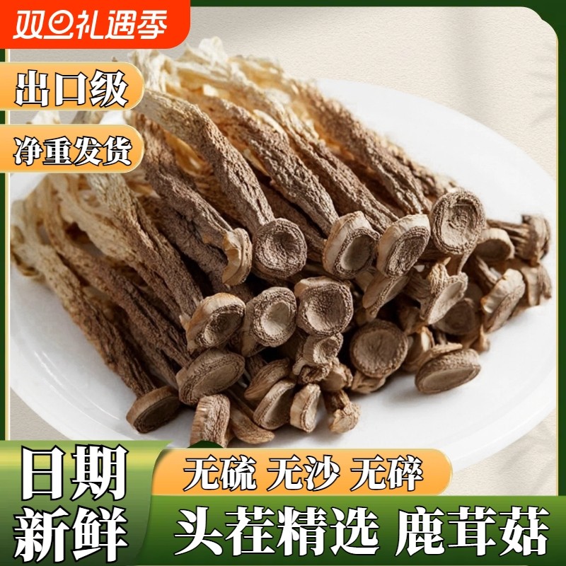 古田鹿茸菇干货包邮野生鹿茸菌非特级脆菇菌菇类农家自产煲汤食材
