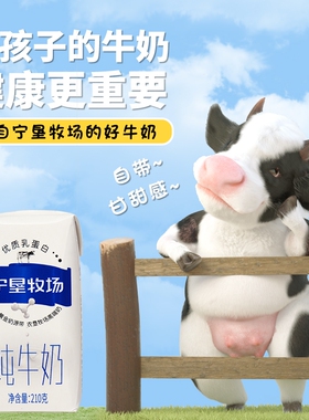 纯牛奶宁夏宁垦牧场3.2g蛋白200ml*10盒礼盒大漠优选早餐奶
