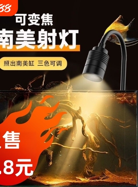 三定时迷你鱼缸射灯鱼缸灯南美造景水草灯led原生缸灯小缸发光