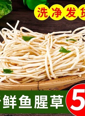折耳根新鲜鱼腥草当季野蔬菜嫩芽嫩根农家下饭菜即食凉拌自种