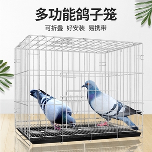 鴿子籠折疊養殖籠室內新款 加密加粗 養殖繁殖籠賽鴿公棚養家用組裝