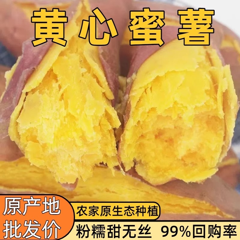 【今日特卖】香甜沙地蜜薯新鲜红薯板栗薯番薯黄心龙九地瓜批发