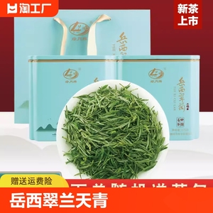 绿月岳西翠兰天青罐2024年明前新茶125g单盒250g礼盒装春茶