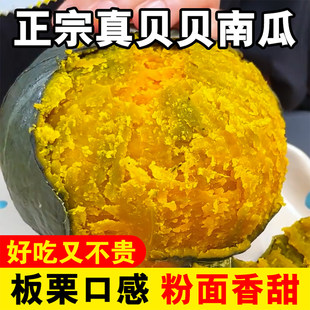 正宗贝贝南瓜小南瓜粉面香甜板栗味现摘婴儿宝宝辅食孕妇肉厚干面