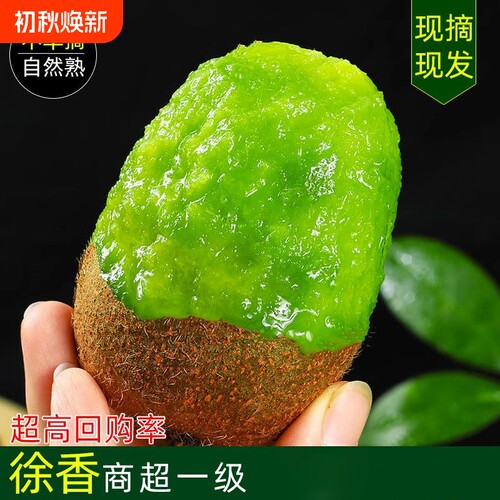 陕西绿心猕猴桃大果奇异果新鲜孕妇当季水果整箱批发价包邮非徐香