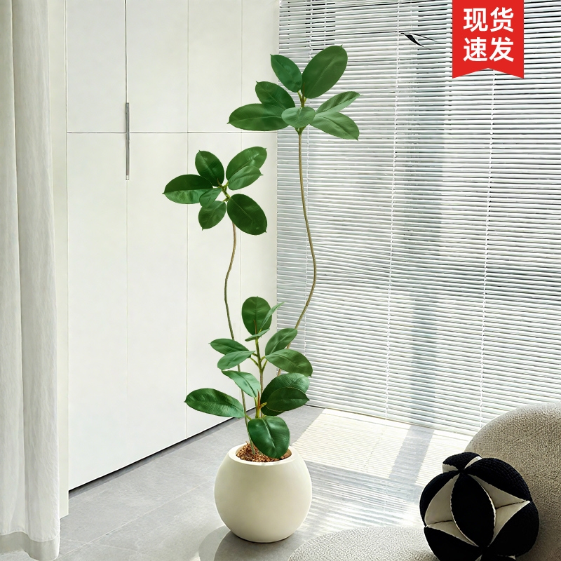 植物黑金件客厅高级感装饰摆刚室内沙发电视柜旁假树仿新品