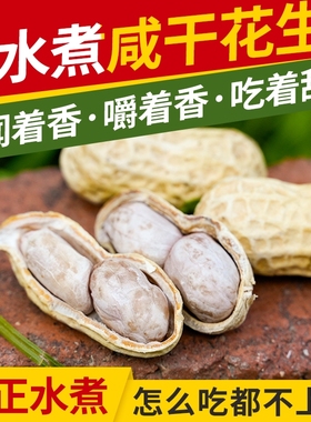 浠涵广东花生蒜香五香咸干多味盐水白晒水煮花生米带壳炒货熟零食
