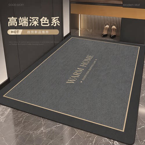 家用高端简约免洗蹭土专用踩踏垫