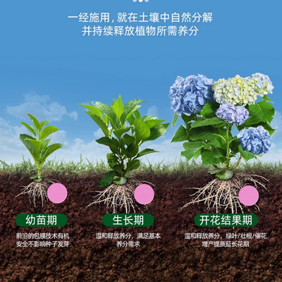 植物营养缓释片肥料氮磷钾复合肥种花养花肥家用果蔬盆栽花卉通用