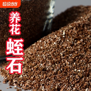 蛭石颗粒扦插月季珍珠岩养花用乌龟蛋孵化专用白营养土多肉大育苗