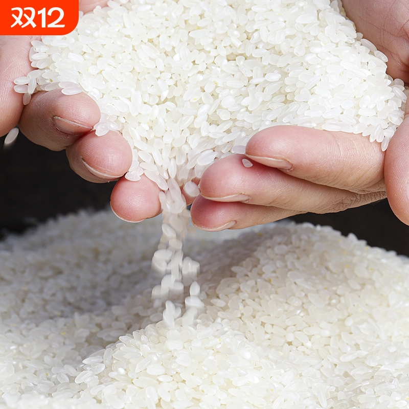 网红辽宁省盘锦市大米