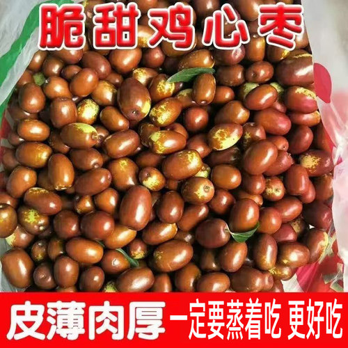 脆甜鸡心枣新鲜采摘蒸着吃好吃