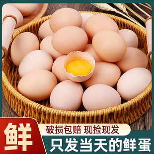 正宗土鸡蛋农家散养新鲜鸡蛋礼盒装谷物鲜蛋营养现发草鸡蛋柴鸡蛋