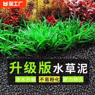 鱼缸水草种子造景鱼缸造景套餐