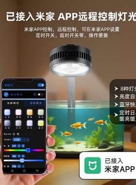 亿得胜智能水草筒灯爆藻灯
