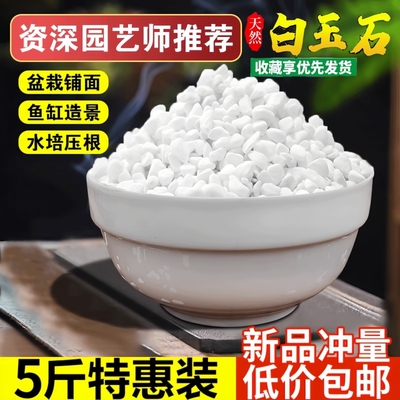 天然白石子庭院铺路鹅卵石白色石子颗粒小白石头阳台造景景观砾石