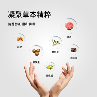 嗓子润喉片胖大海润喉糖喉咙花谈教师护嗓罗汉果含片食品网红糖果