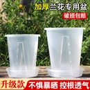 花大爷加大加厚高款 环保树脂塑料空气柱花盆透明透气升级控根花盆