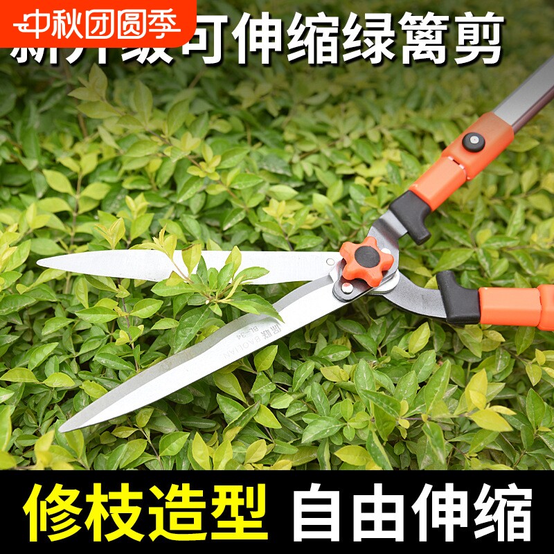 园艺大剪刀园林工具修花剪绿化修枝剪树枝修剪草坪剪子绿篱专用剪图片