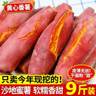 新鲜蜜薯板栗红薯沙地糖心黄心