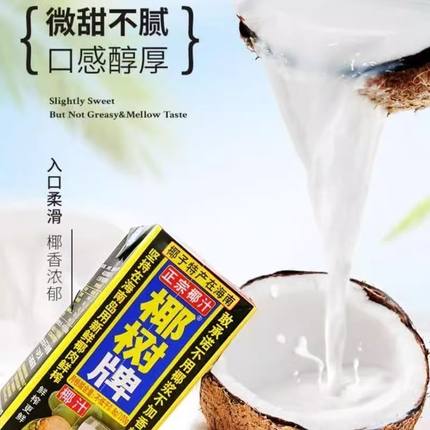 椰树1L*2盒椰汁正宗椰树牌海南特产植物蛋白椰奶椰子汁饮料1000ml