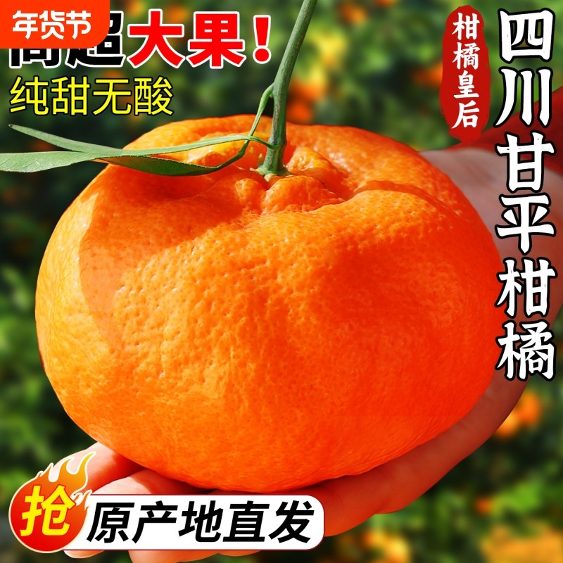 正宗四川甘平柑橘皇后小金牛当季现摘新鲜水果耙耙柑粑粑丑橘子甜,水产肉类/新鲜蔬果/熟食,桔子,淘宝优惠券,粉丝福利购,淘宝优惠卷