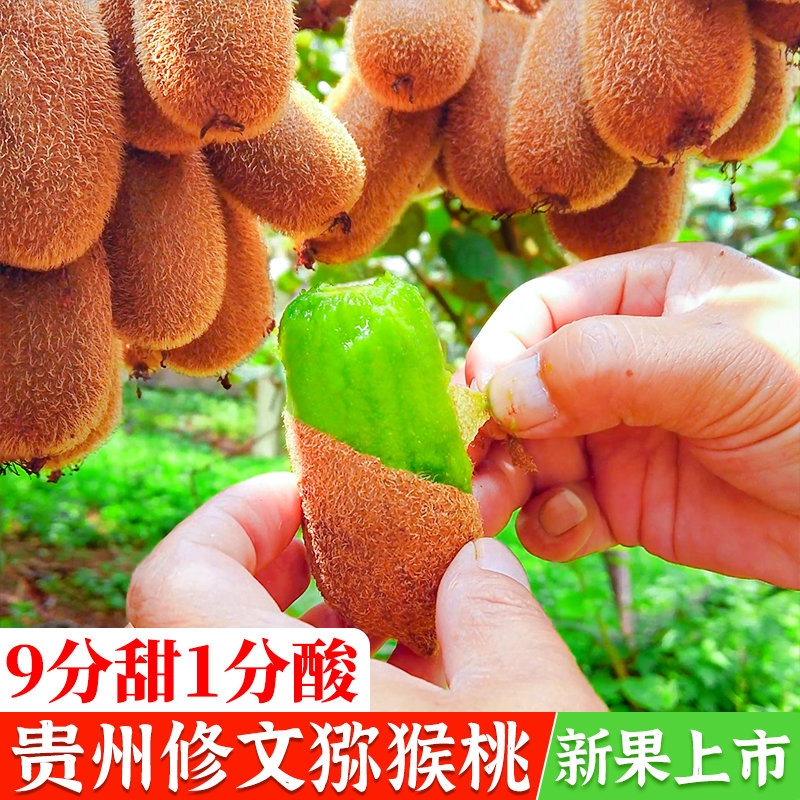 贵州修文猕猴桃正宗贵长猕猴桃绿心奇异果当季孕妇新鲜水果整箱