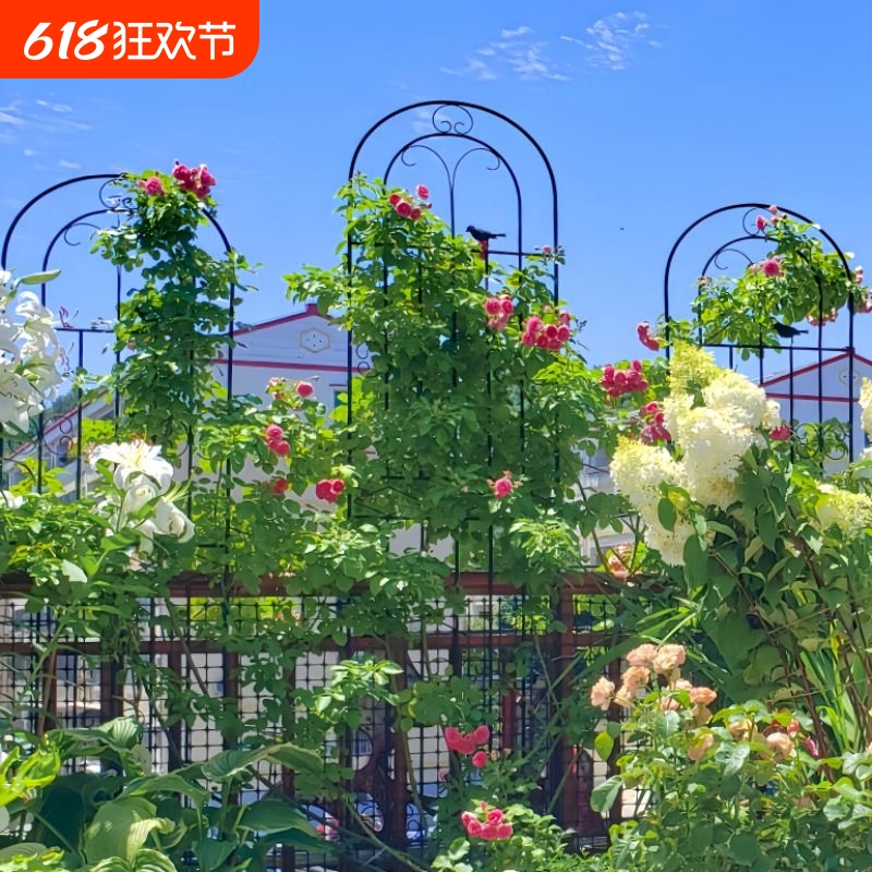 铁线莲爬藤架月季绿萝蔷薇植物花架户外花园庭院栅栏铁艺支架固定