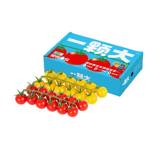 【一颗大】红黄樱桃番茄串收千禧小番茄西红柿新鲜自然熟车厘茄