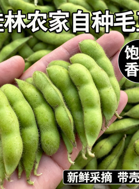 桂林新鲜现摘毛豆带壳嫩黄豆子当季青豆毛豆角仁农家自种商用批发