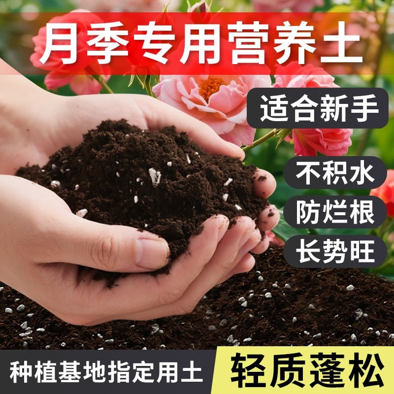 有机月季土蔷薇花土月季花营养土壤月季花肥泥土种植土生态专用土