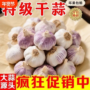 【保质保量】金乡紫皮大蒜新干蒜子新鲜红皮大蒜头优质干蒜便宜