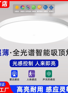 led感应三防吸顶灯楼梯过道走廊灯红外人体雷达感应灯家用声控灯