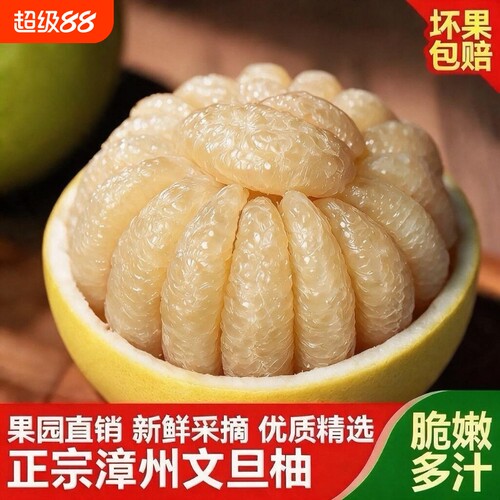 皮厚漳州文旦柚爆汁无虾线蜜柚新鲜水果当季整箱时令直发