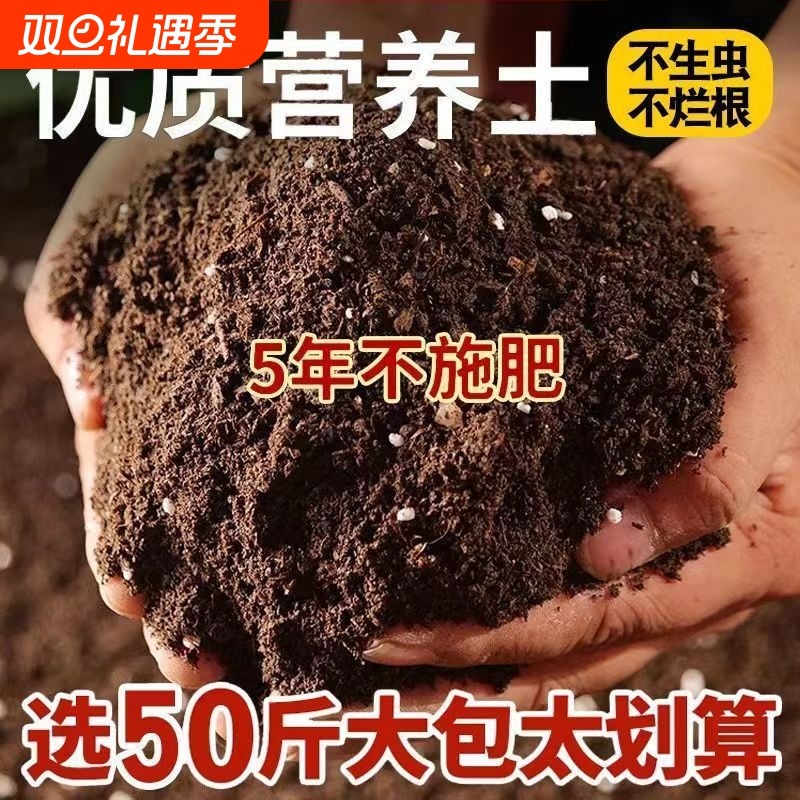 营养土家用养花种菜专用土多肉盆栽通用型种植土园艺土壤花土肥料
