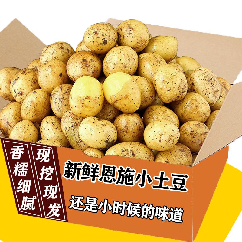 精品小土豆新鲜恩施黄皮黄心洋芋农家自种马铃薯蔬菜特惠批发