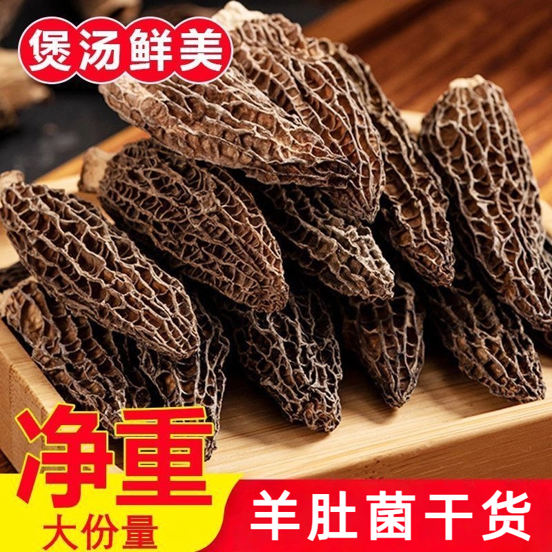 【无陈货】头茬羊肚菌新鲜干货批发肉厚剪根羊肚菌菇煲汤食材商用