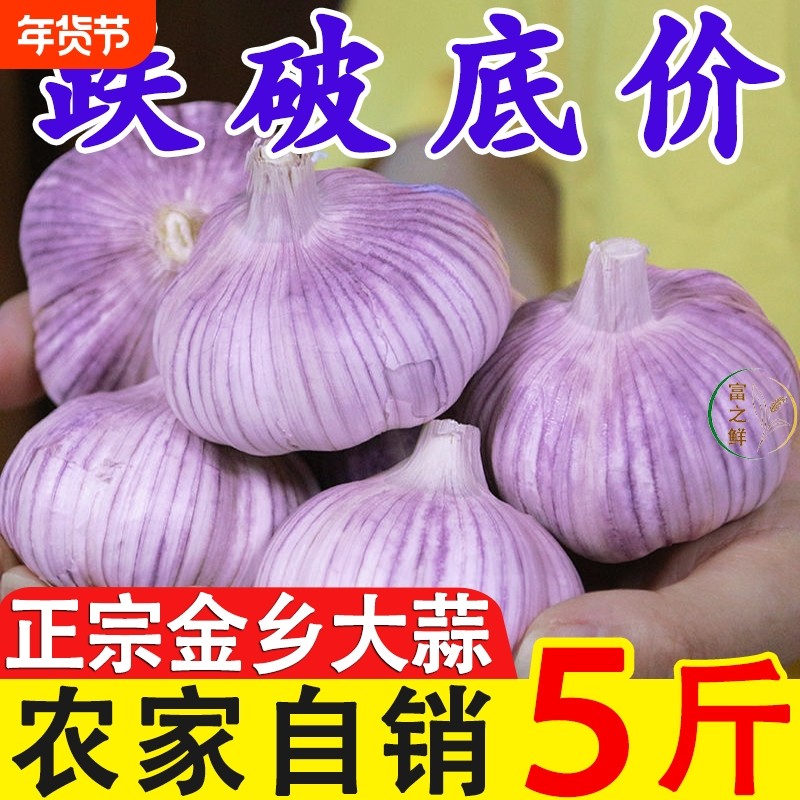 【新客立减】山东精品紫皮大蒜头批发特大糖蒜农家种植整箱山东y