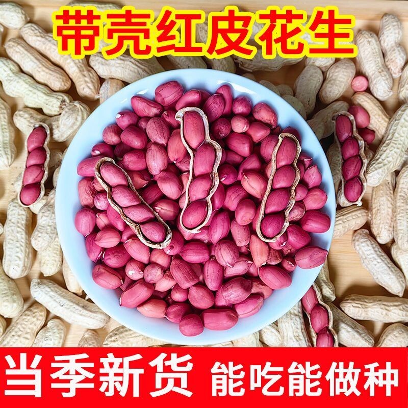 2025年新鲜农家自种红皮生花生带壳晒干生花生米生新货四粒红