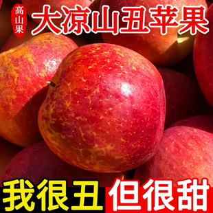 正宗大凉山丑苹果冰糖心苹果新鲜水果当季现摘四川红富士大果整箱
