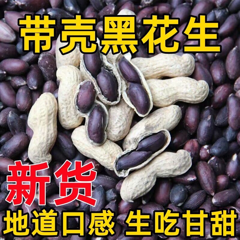 黑花生新货农家自种带壳花生黑紫皮花生米原味零食新鲜大粒年货