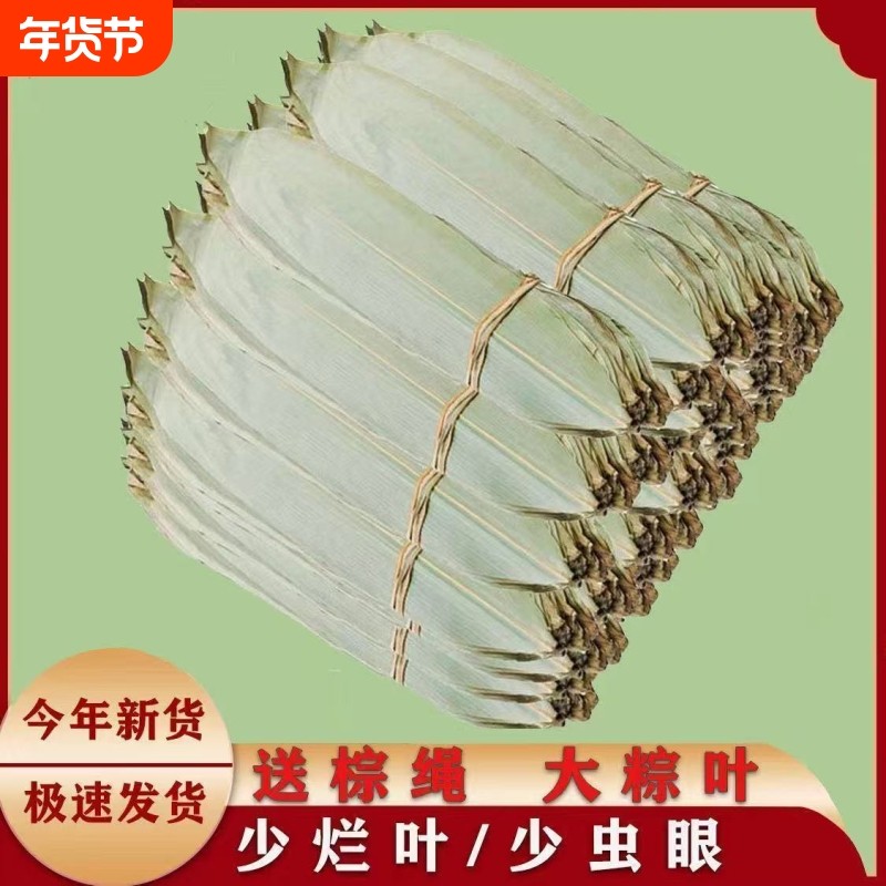 干粽叶新鲜粽叶干大号叶子粽子叶粽叶端午节包粽子自然生长鲜粽叶,粮油调味/速食/干货/烘焙,粽叶,淘宝优惠券,粉丝福利购,淘宝优惠卷