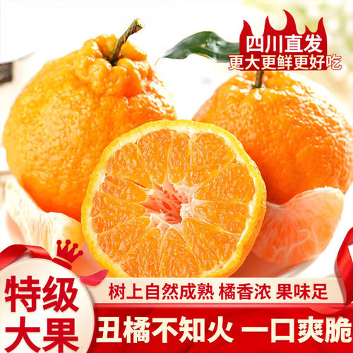 四川不知火丑橘新鲜水果生鲜