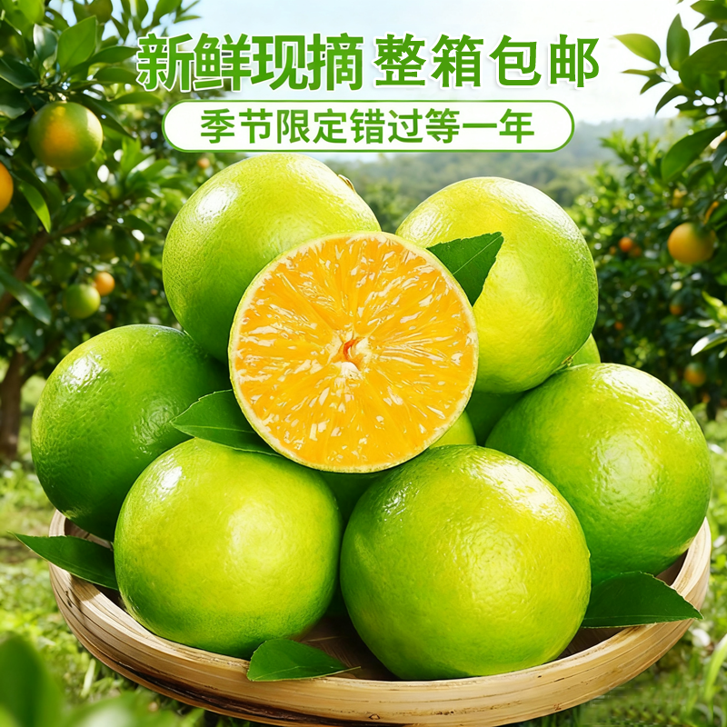 云南哀牢山现摘冰糖橙整箱包邮