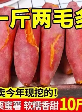 新鲜蜜薯10斤板栗红薯沙地糖心地瓜农家自种番薯现挖黄心香薯山芋