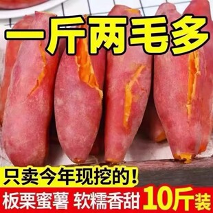 新鲜蜜薯10斤板栗红薯沙地糖心地瓜农家自种番薯现挖黄心香薯山芋