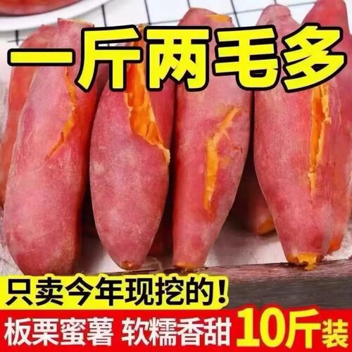 新鲜蜜薯10斤板栗红薯沙地糖心地瓜农家自种番薯现挖黄心香薯山芋