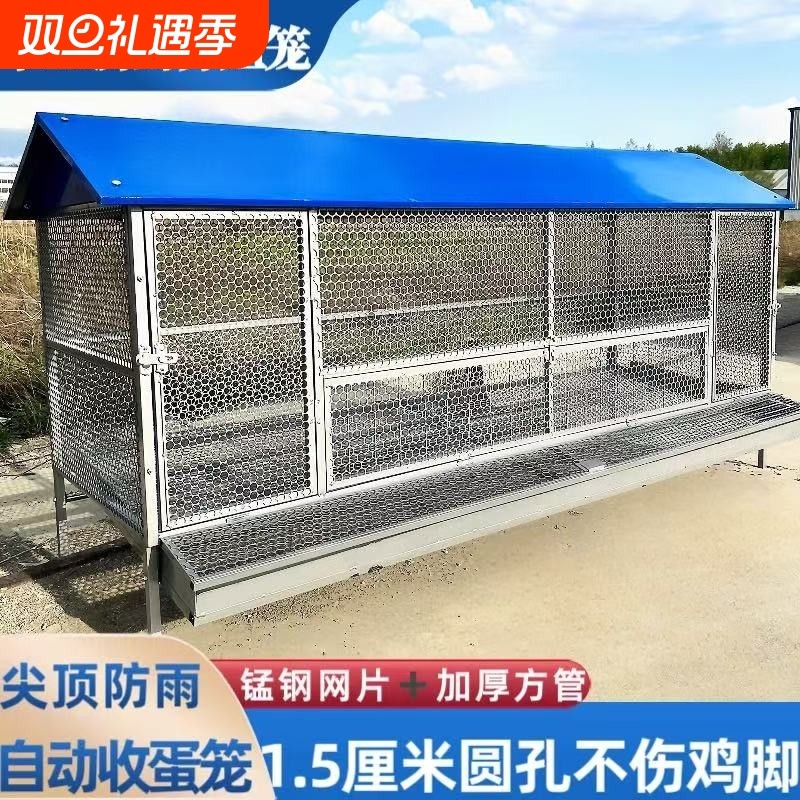 鸡笼子家用室外防雨自动收蛋防啄防防鼠加厚下蛋养殖笼带厕所简易
